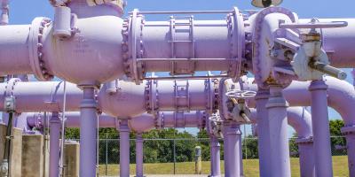 Purple pipes